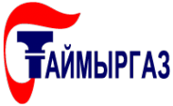 Логотип компании Таймыргаз Норильский Никель